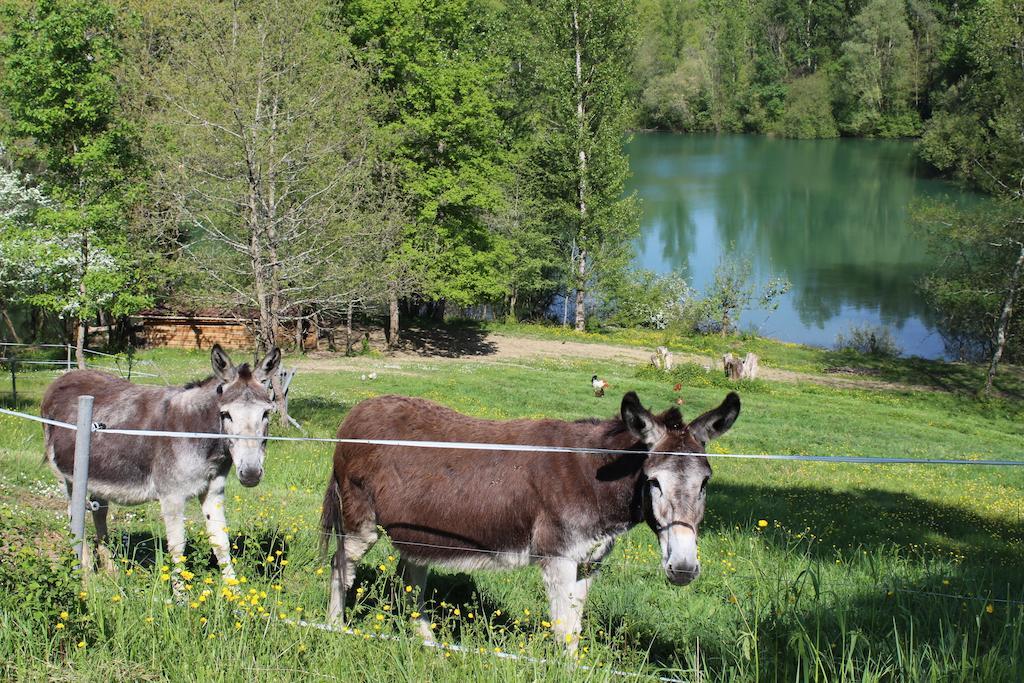 La Garde Pile De Fichou Bed & Breakfast Bajamont Bagian luar foto